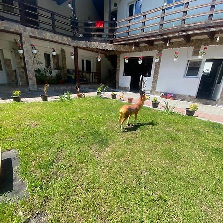 Casa Cipri Si Alex Hotel Simon Kültér fotó