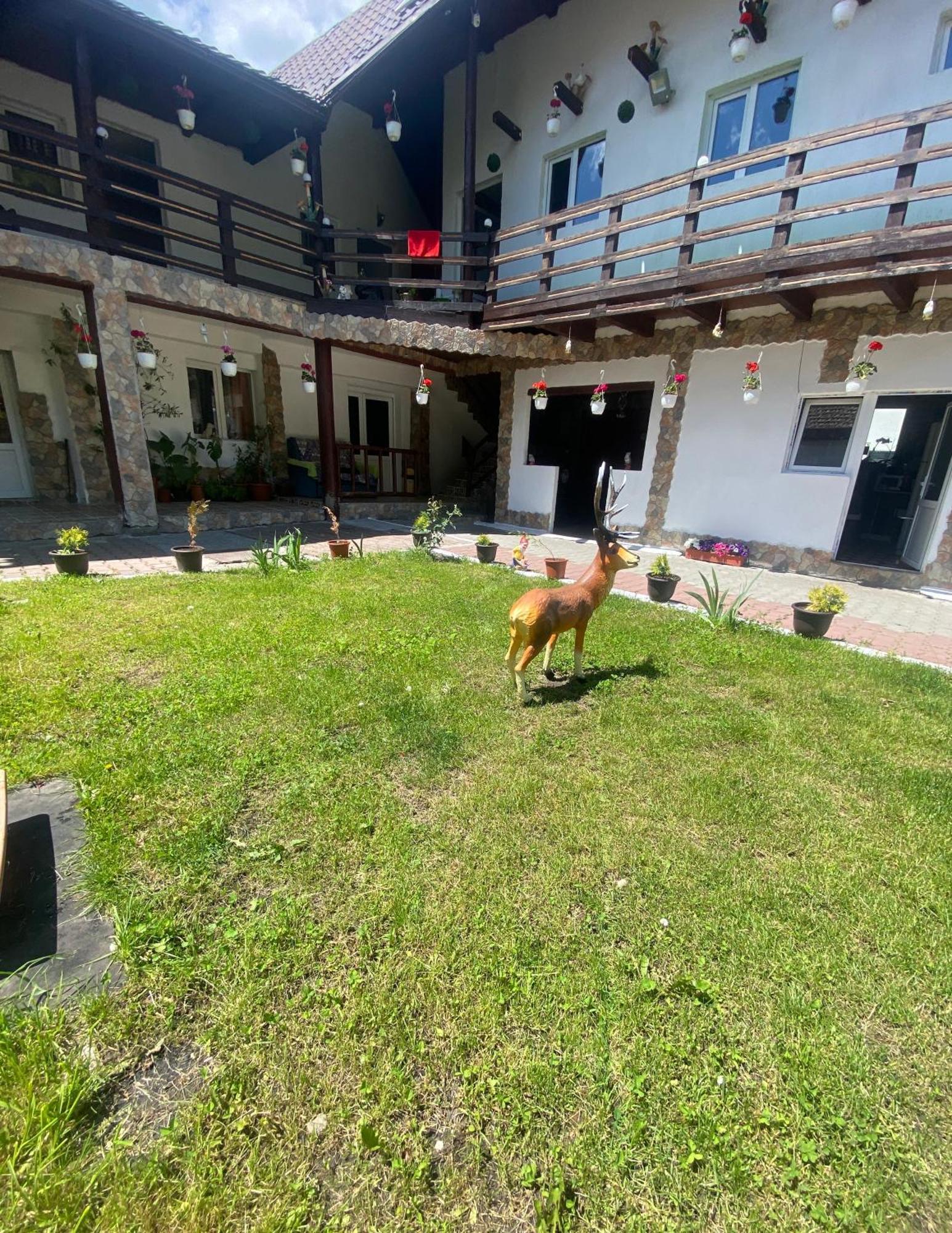 Casa Cipri Si Alex Hotel Simon Kültér fotó